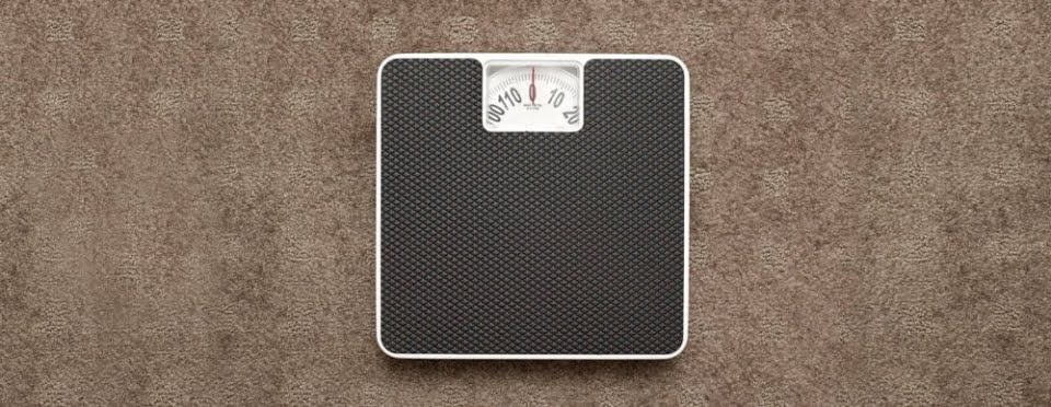 [shutterstock.com:158513417, Kitch Bain]