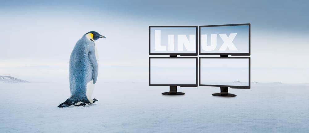 Pinguin am Fernsehern mit Aufschrift "Linux"