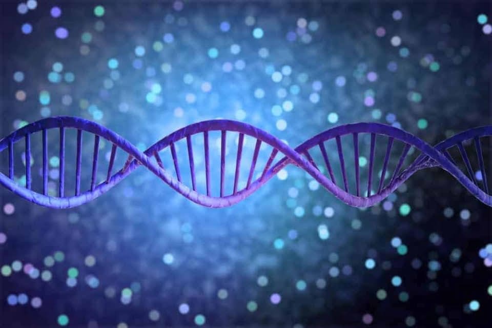 Digital gene identified? | E3 Magazine