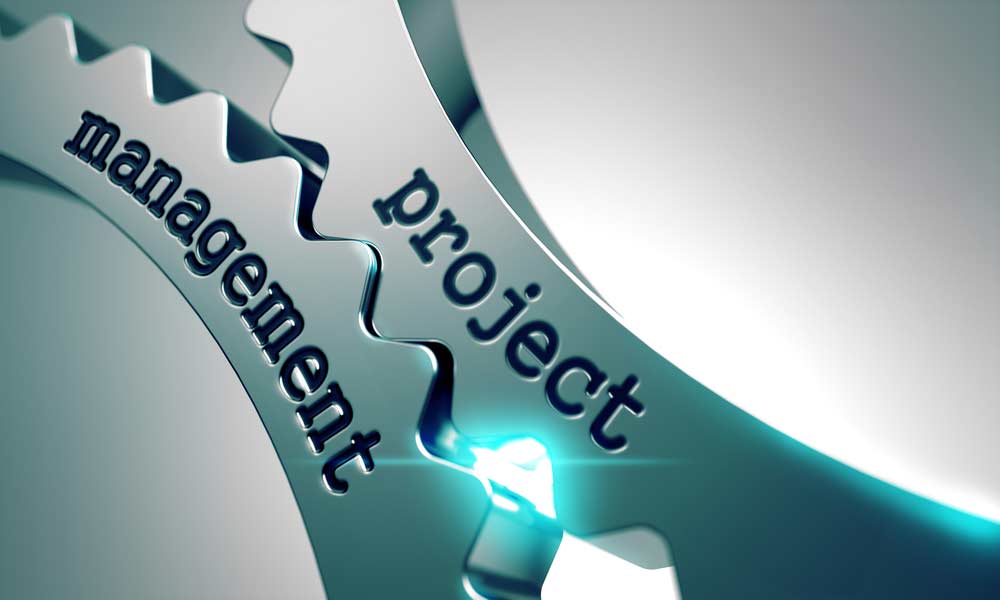 Project and management