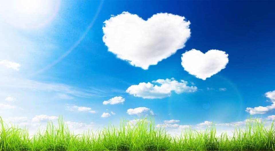 [shutterstock.com:125440199, robert_s]