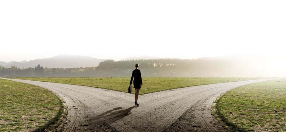 [shutterstock.com:294081374, Sergey Nivens]