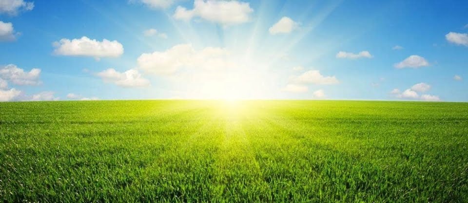 Ein Plädoyer für den Greenfield-Ansatz