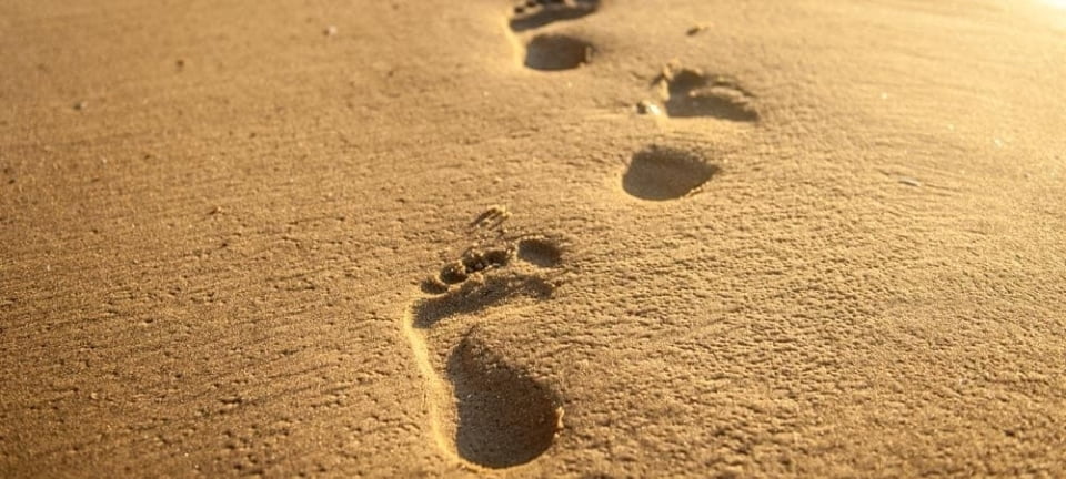 Six steps to the S/4 future