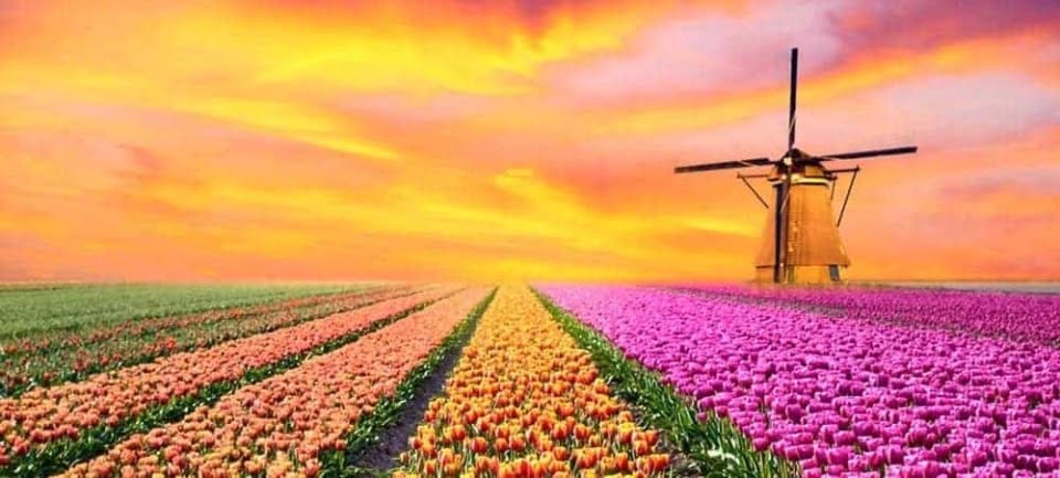 Belle migration S/4 colorée