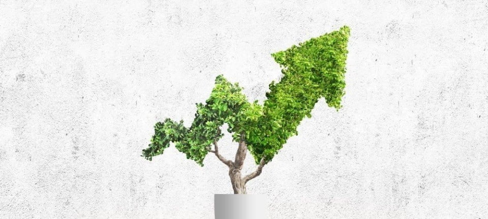 Crecimiento de las TI a pesar de la recesión y la amenaza del Brexit