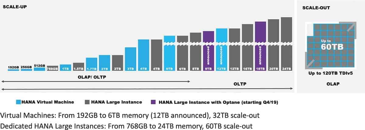 Fig. Microsoft SAP HANA Choices Cmyk