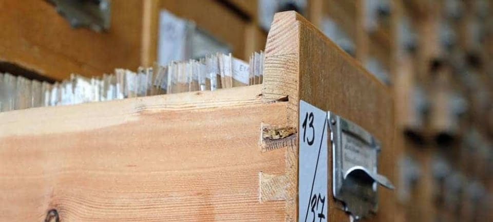 [shutterstock.com: 1663089904, Oleg Elkov]