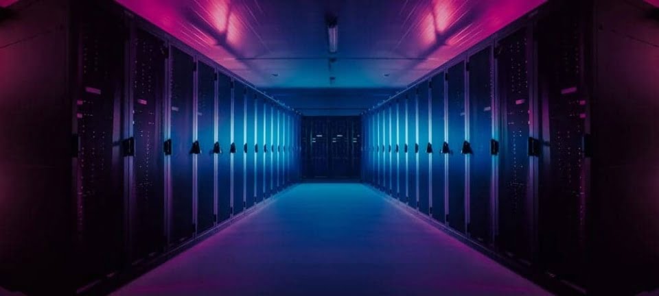 [shutterstock: 1319520962, Gorodenkoff].