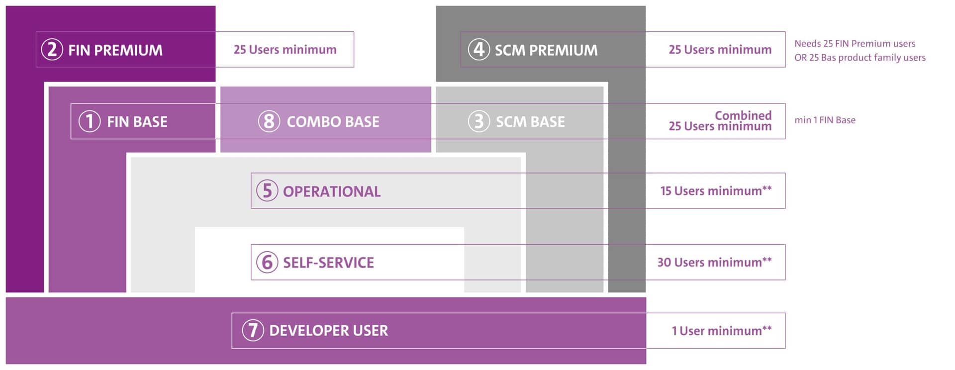 Complexity and Opportunities in SAP Licensing Models | E3 Magazine